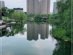 -洋湖国家湿地公园