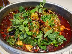-黔渔翁豆花渎鱼(喷水池店)