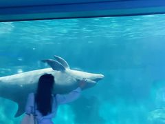 -福州罗源湾海洋世界旅游区