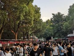 -郭阿姨月亮馍