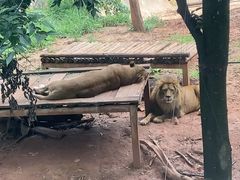 -昆明动物园