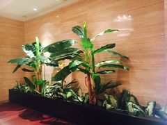 -北丽宫水疗会(宝利来国际大酒店店)