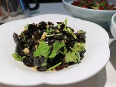 -洞庭家宴·头牌甲鱼(广渠门店)