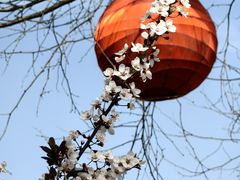 -唐城墙遗址公园