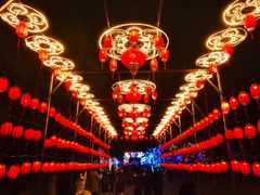 -青龙湖公园
