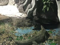 -苏州海洋馆