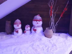 -挂雪铁锅炖大鹅