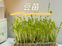 -海底捞火锅(奥森店)