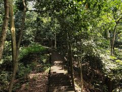 -凤栖山