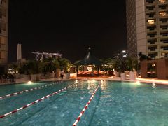 -新加坡瑞士史丹福酒店