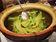 生菜-惠食佳·朱雀(东方商厦店)