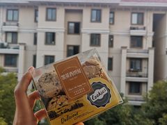 杂果饼干-凯莱西饼屋(通城广场店)