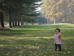 -河南省黄河迎宾馆