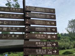 -武陵山森林公园
