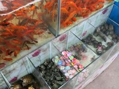 水产区-大学城夜市大排档(凤栖路店)