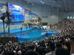 -福州罗源湾海洋世界旅游区