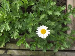 -森居forest休闲咖啡聚集地