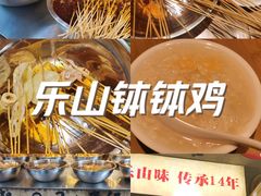 -嘉州鲜知味钵钵鸡(奎星楼店)