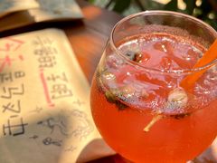 -柴犬高等学院·狗咖·柴犬售卖·宠物训练