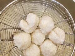 -正能量脆肉鲩火锅