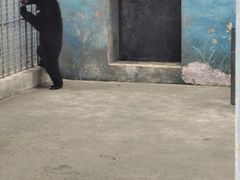 -保定市动物园
