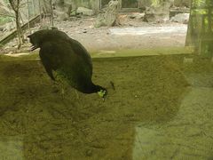 -杭州动物园