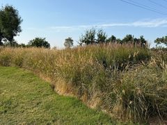 -汉长安城未央宫国家考古遗址公园