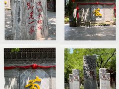 -大槐树寻根祭祖园