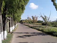 -乌村