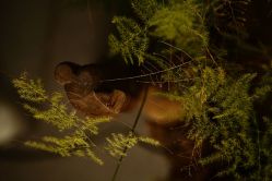 店内环境-老黑造型