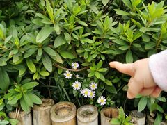 -苏州环秀晓筑养生度假村