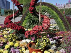 -唐山抗震纪念碑广场