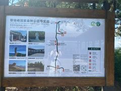 -磬锤峰森林公园