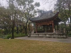 -汇龙潭