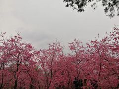 -昆明动物园