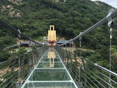 -木兰云雾山