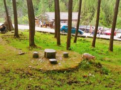 -硗碛藏寨·神木垒景区