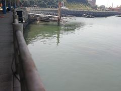 -放鸡岛生态旅游国际度假区