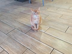-Sasa的海(蜈支洲岛后海店)
