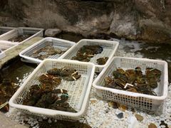 -郑庄脂渣海鲜楼(九水路店)