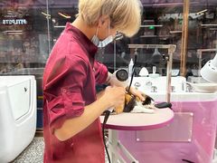 -FAELING PETS美天灵宠物(富力广场店)