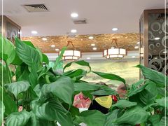 -万年酒楼(越秀南路店)
