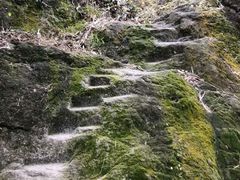 -羚羊峡古栈道森林公园