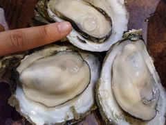 -土蚝·高压锅生蚝(百姓美食街店)