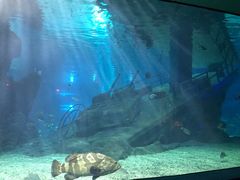 -福州罗源湾海洋世界旅游区