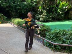 -新加坡飞禽公园