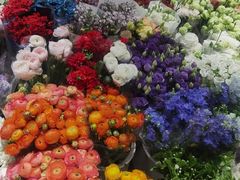 -双季花艺园艺市场(浦东店)