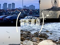 -琴岛之星摩天轮