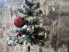 -T1Y2糖一盐二·桂林路店