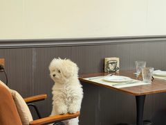 -沏点Trattoria意大利餐厅(新街口店)